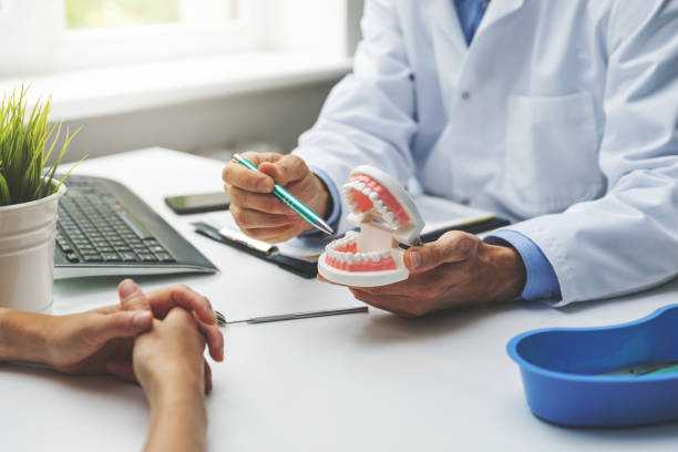 Professional Holistic Dental Care Services in Nevada, MO